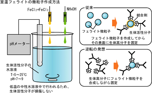 MG PARTICLE