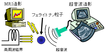 MG PARTICLE